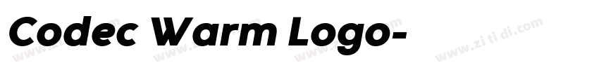 Codec Warm Logo字体转换